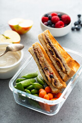 Lunch container with healthy lunch to go for kids or adults, peanut butter and jelly sandwich