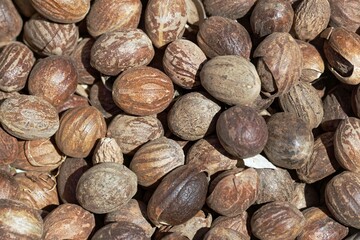 Nutmeg fruits as background or texture.