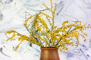 A bouquet of yellow mimosa flowers in a brown clay vase, white black background.