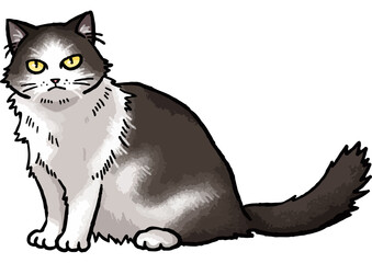 【手描きベクター動物イラスト素材】座っている長毛の白黒猫のイラスト