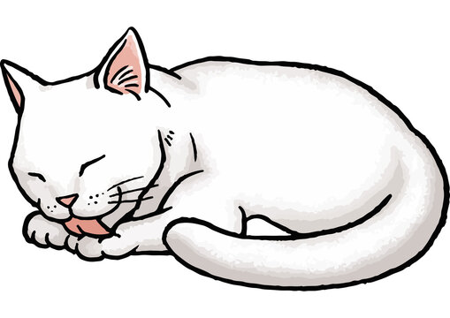 recommend clip art: 【手描きベクター動物イラスト素材】毛づくろいをしている白猫のイラスト