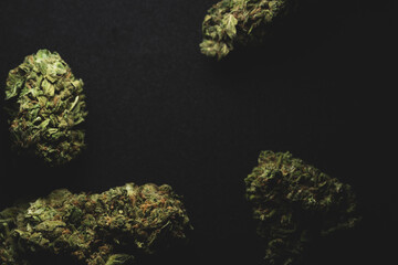 close up portrait of Amnesia Cannabis Marijuana Dry Buds