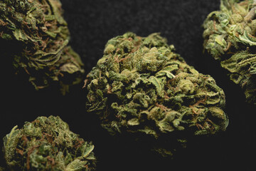 close up portrait of Amnesia Cannabis Marijuana Dry Buds