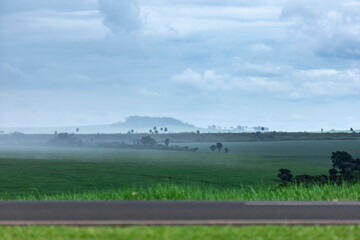 Fototapeta na wymiar rain on the horizon at the sugar cane farm in Goiania, Goias, Brazil