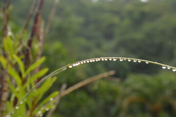 Gotas en suspensi&oacute;n 