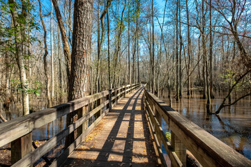 Boardwalk across the Swamp and Seventeen Mile River in General Coffee State Park, Georiga