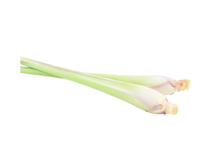 Fresh lemon grass on white background. Cymbopogon citratus.