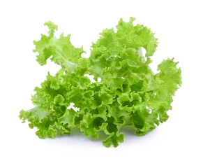 Obraz premium Salad leaf. Lettuce isolated on white background.