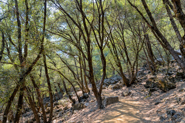 Yosemite-Nationalpark