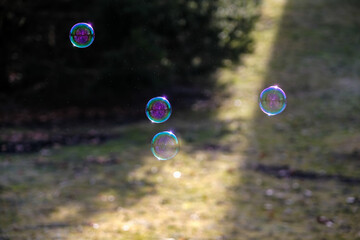 Bubbles floating in the sunset with grass and trees in the background