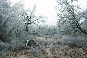 Texas ice storm over rural landscape in winter season.
