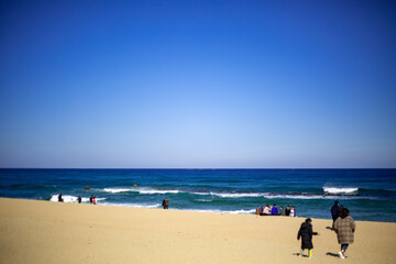 파란하늘의 해변가 The beach in the blue sky