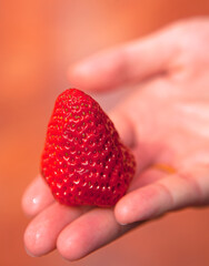 Hand of woman with strawberry