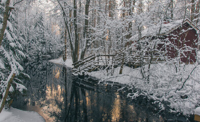 Winter brook