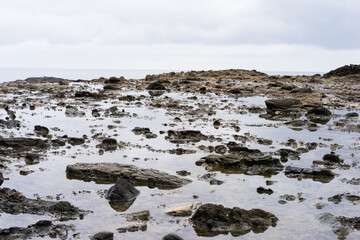 Tide Pools of Crescent Bay