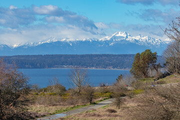 View of Olympic Mountains and Trees from Discovery Park Seattle Walking Path