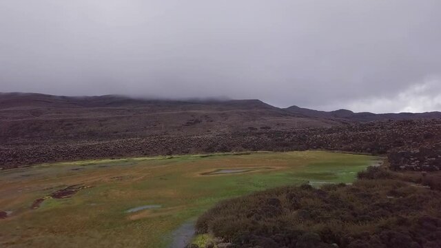 landscape in the paramos of sumapaz with lake and Espeletia