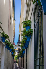 Fototapeta na wymiar Flower pots and facades of the most famous street in Cordoba (Andalusia, Spain), the Calleja de las Flores (Flowers Alley)