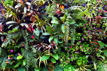 Plant wall with lush green colors, variety plant forest garden on walls orchids various fern leaves jungle palm and flower decorate in the garden rainforest background - Powered by Adobe