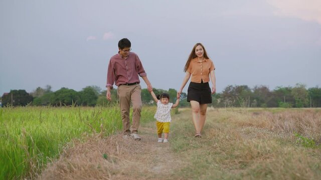 Father and mother take their daughter's hands for a walk in the meadow in the evening.
