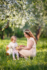 Fototapeta premium Mother and little daughter play in blooming apple garden. Mom loves her child. Spring story. Toddler girl sits on little chair in apple garden. Happy family in beautiful spring day
