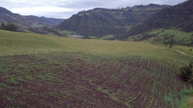 landscape in the paramos of sumapaz mountains and grassland