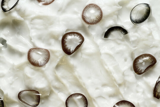 Used contact lenses on lotion surface