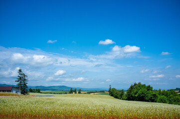 paisagens rurais de Hokkaido.	