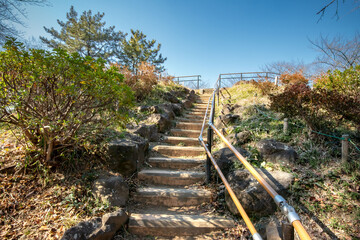 東京都新宿区戸山公園の箱根山
