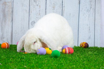 Rabbit and easter eggs in green