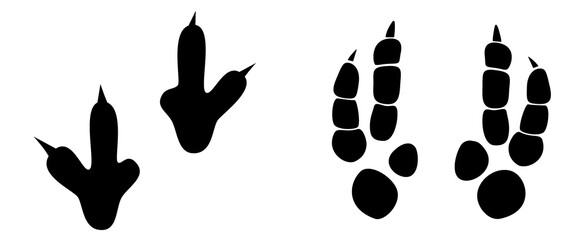 Dinosaur footprint tracks vector set illustration. Background with paw, claw predator. Dinosaur footprint illustration perfect for textile, wrap and wallpaper and design.
