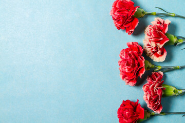 母の日の赤いカーネーションの花　背景素材
