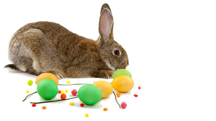 Easter background, gray Easter bunny on the background of multicolored Easter eggs and decorations
