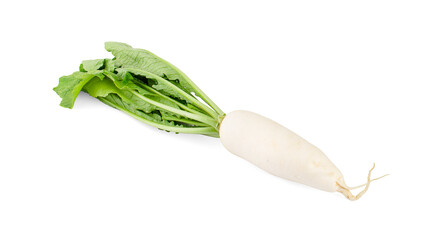 Daikon radishes isolated on white background