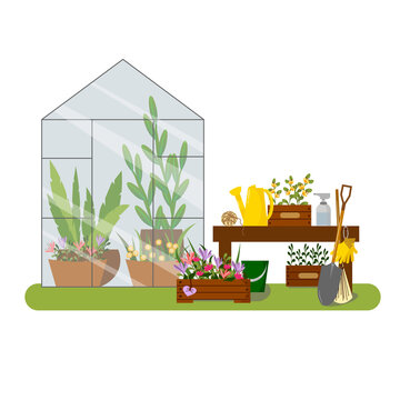 Greenhouse, Garden Tools, Green Plants And Flowers In Boxes And Pots. Vector Illustration Of A Garden Interior. For Various Decorative Applications - Logos, Brochures. Flyers, Sale Farms.