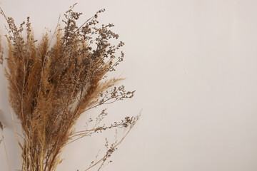 A bouquet of dry flowers on a white background with room for text.