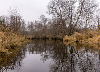 autumn landscape gray and cloudy day, river bank with bare trees and bushes, bank reflection in river water