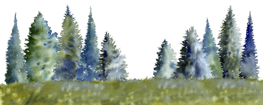 watercolor drawing fir trees © cat_arch_angel