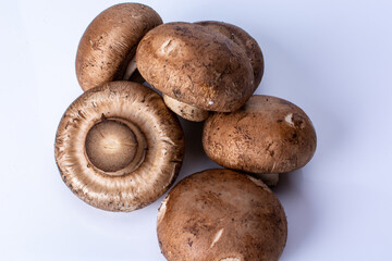 mushrooms, fresh vegetable