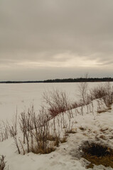 Astotin Lake on a Cloudy Winter Day