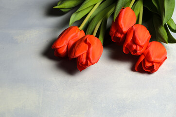 A bouquet of five tulips on a textured abstract background.