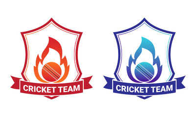 Creative cricket icon logo vector template
