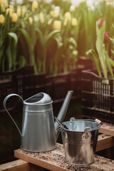 Gardening tools, watering can and straw hat on soil background. Spring garden works concept. Soft selective focus, defocus.