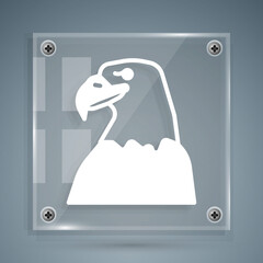 White Eagle head icon isolated on grey background. Animal symbol. Square glass panels. Vector.