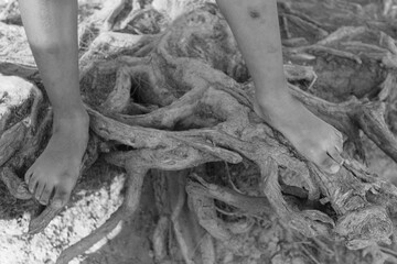 Sintiendo las raíces de un pino con mis pies 