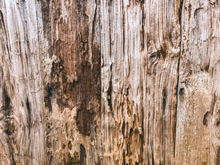 wood plank texture background in orange color
