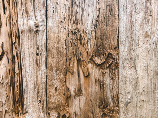 wood plank texture background in orange color