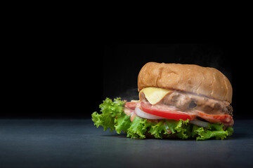 fresh tasty burger on black background,copy space for text.