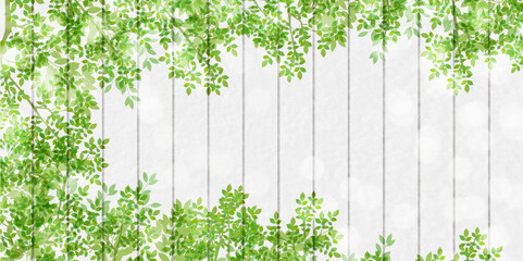 新緑　葉　春　背景
