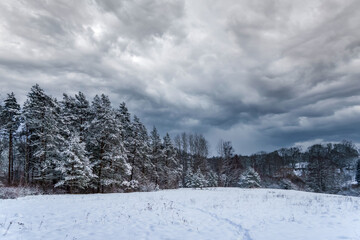 Fototapeta premium landscape in winter